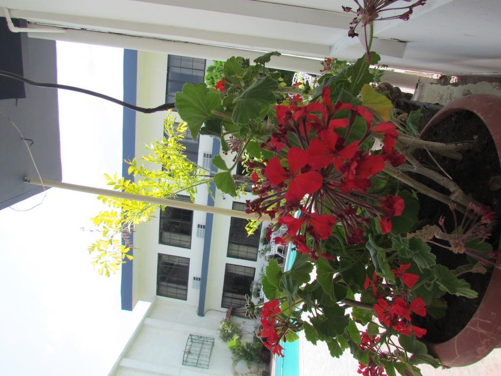 Best Western Plus Hotel Terraza San Salvador Exterior photo